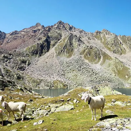 Διαμέρισμα Pult By Interhome Ζόλντεν